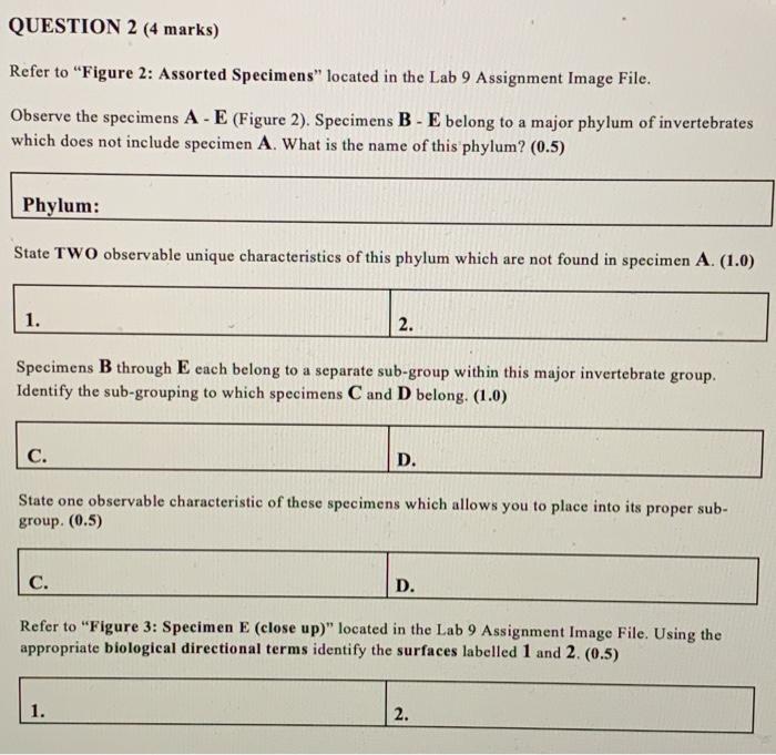 Solved QUESTION 2 (4 marks) Refer to “Figure 2: Assorted | Chegg.com