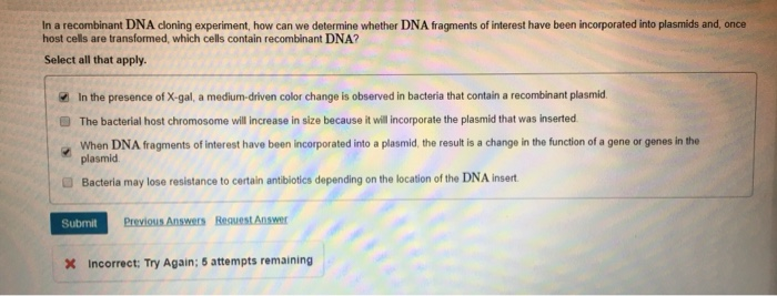 Solved In A Recombinant DNA Cloning Experiment, How Can We | Chegg.com