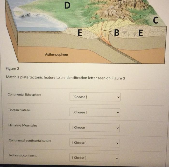 Solved Label the corresponding letters to the correct | Chegg.com