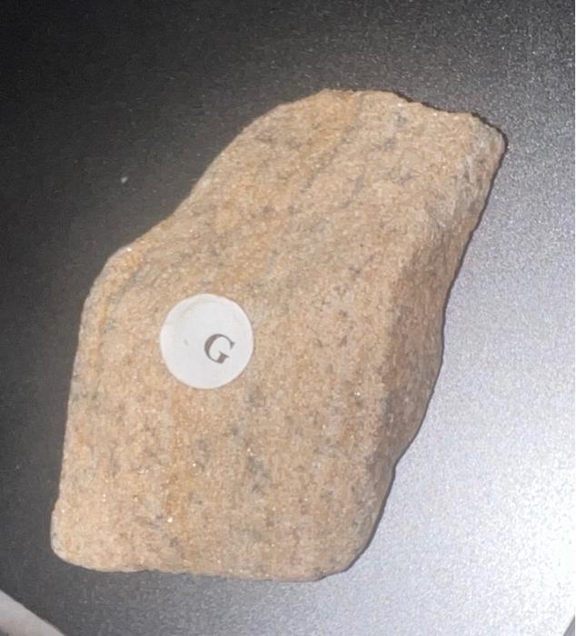 Solved 13. Fill out Table 3. the Sedimentarv