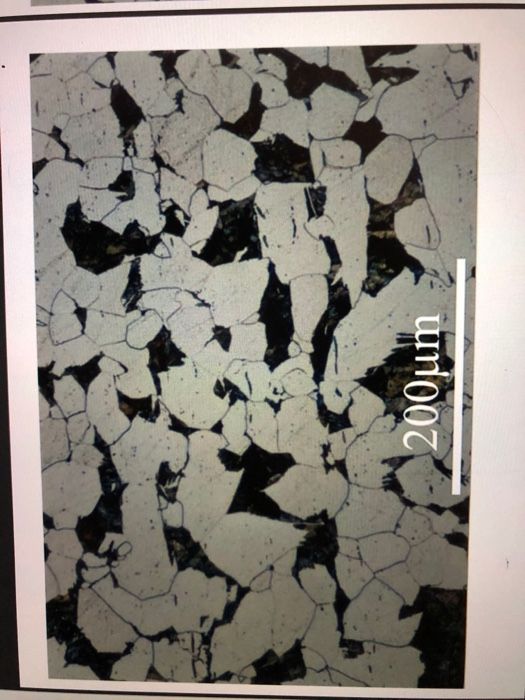 Solved 2. On the next two pages are two identical images of | Chegg.com