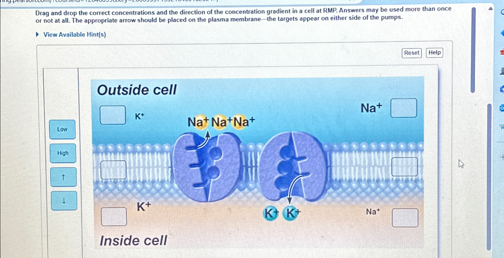 Solved ResetHelpDrag and drop the correct concentrations and | Chegg.com