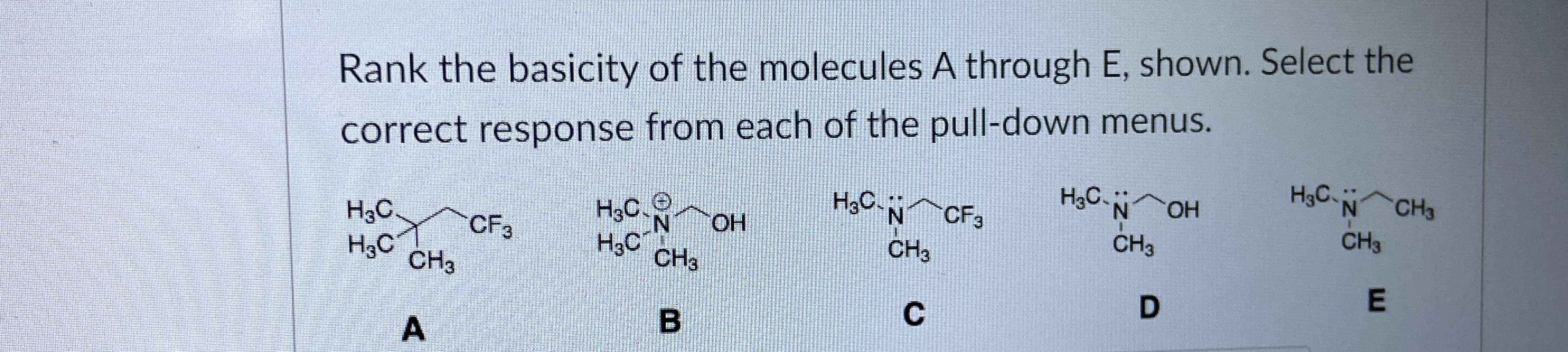 Solved Rank the basicity of the molecules A through E, | Chegg.com