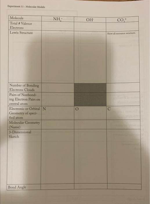 experiment 11 molecular models answers