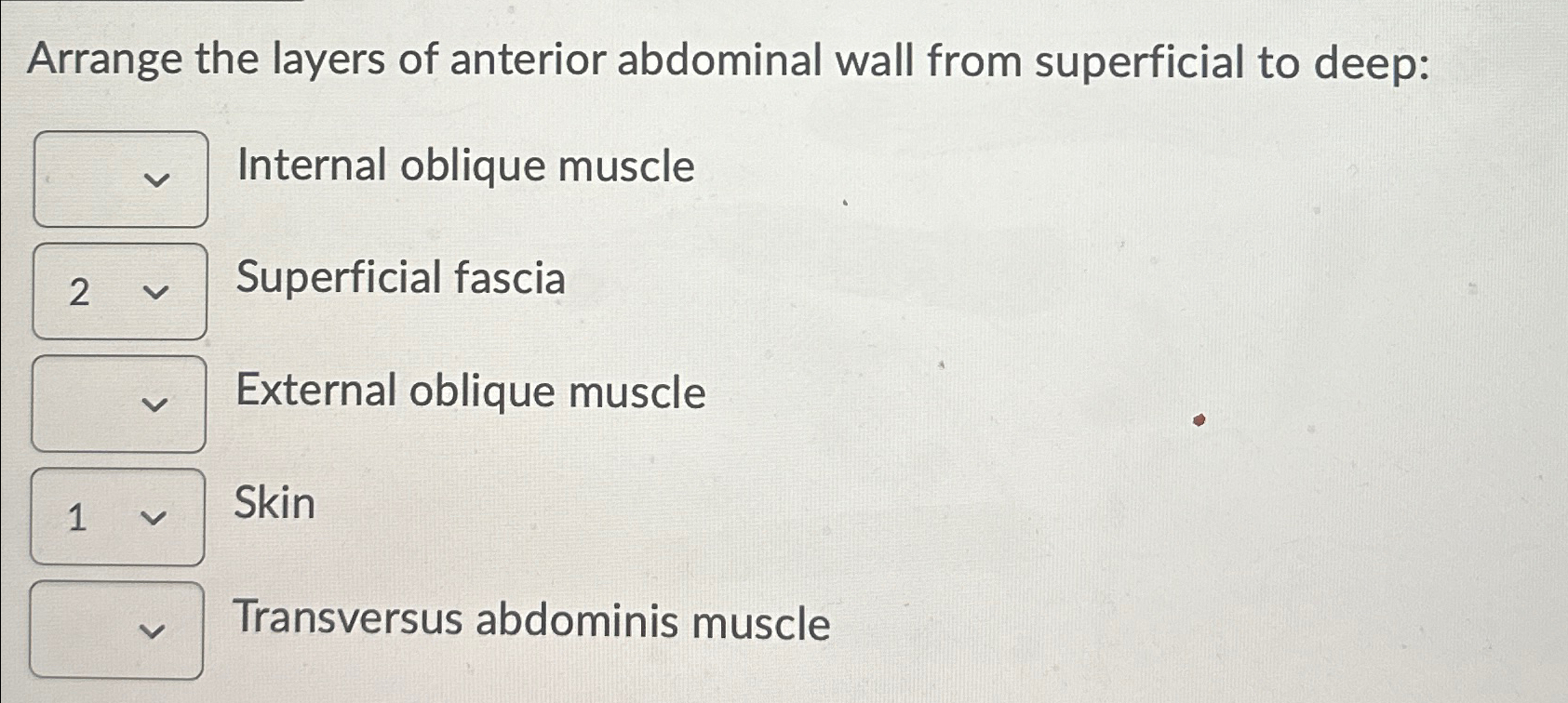 Solved Arrange the layers of anterior abdominal wall from | Chegg.com