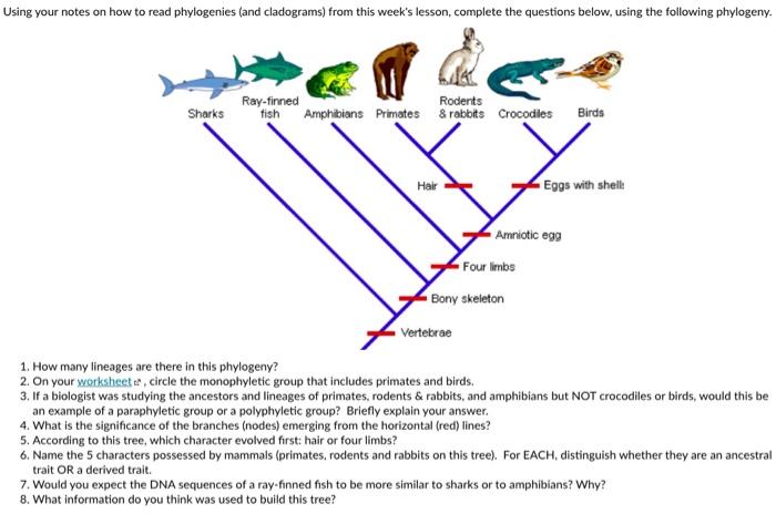 Solved Using your notes on how to read phylogenies (and | Chegg.com