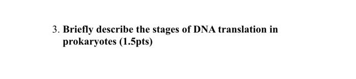 3. Briefly describe the stages of DNA translation in prokaryotes (1.5pts)