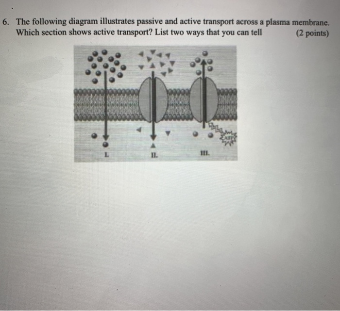 Solved 6. The Following Diagram Illustrates Passive And 