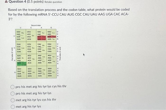 Solved Based on the translation process and the codon table, | Chegg.com