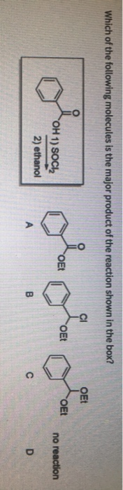 Solved Which of the following molecules is the major product | Chegg.com