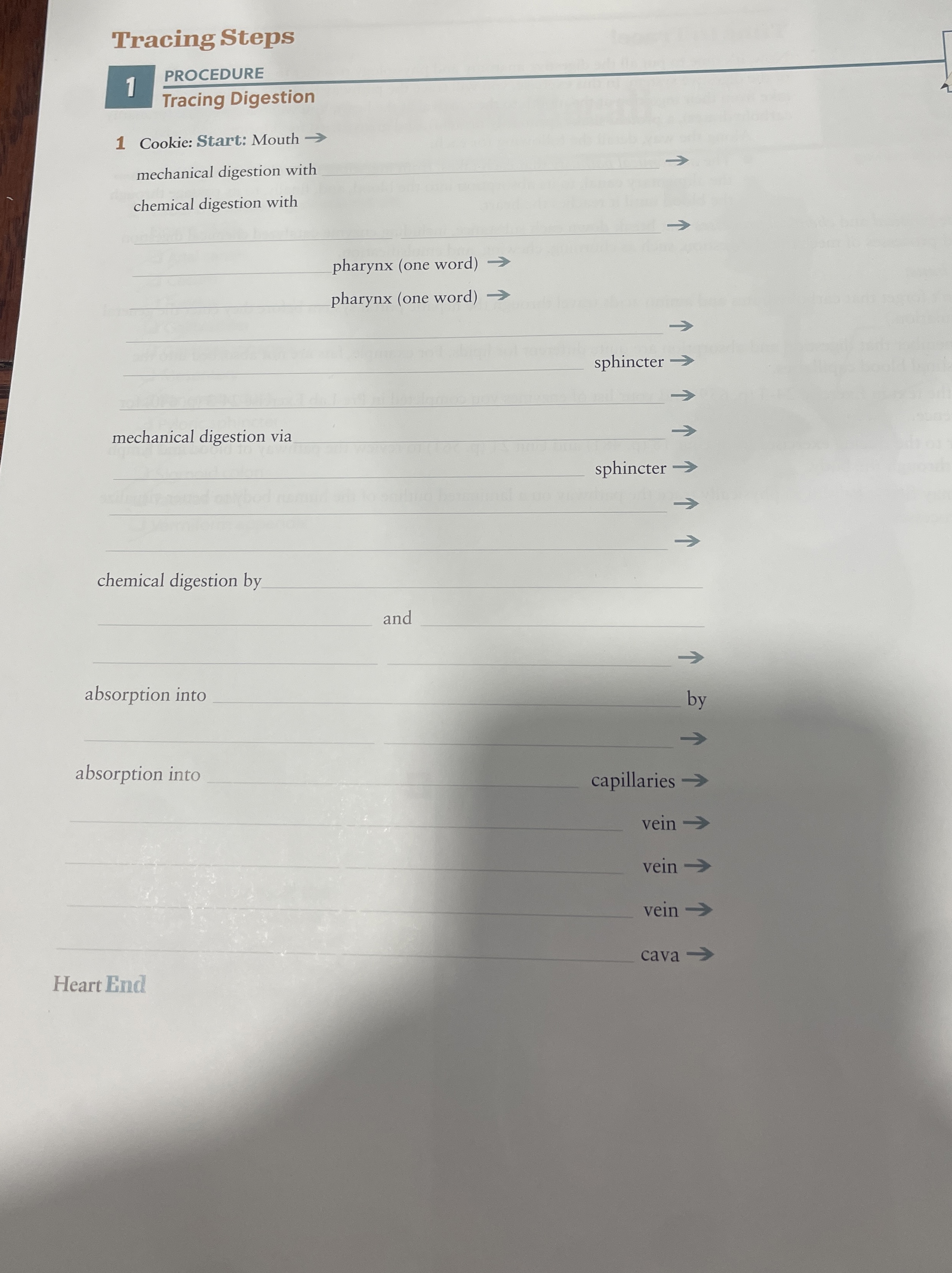 Tracing Steps1 ﻿PROCEDURETracing Digestion1 ﻿Cookie