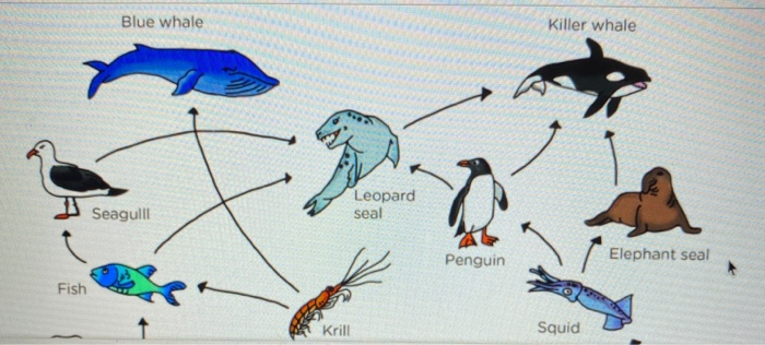 Solved Identify ALL of the organisms that are tertiary | Chegg.com