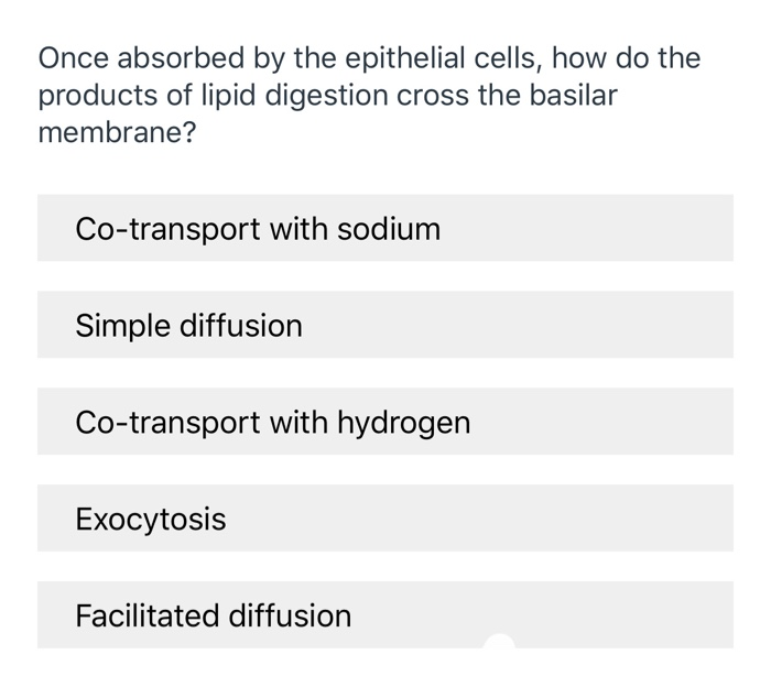 Solved Once Absorbed By The Epithelial Cells How Do The Chegg Com