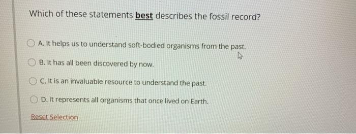Top 38+ imagen which best describes the fossil record