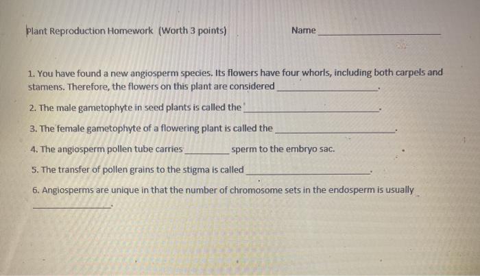 homework plant systems answers