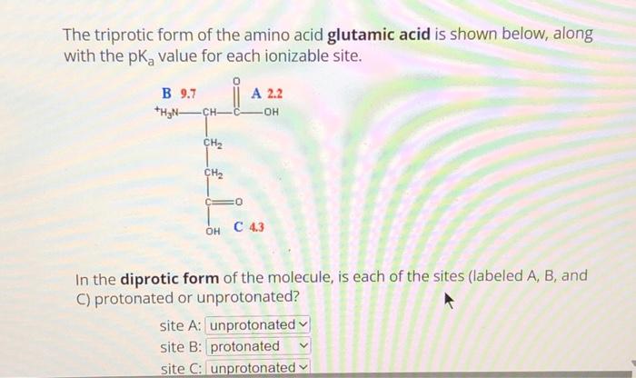 Solved The triprotic form of the amino acid glutamic acid is | Chegg.com