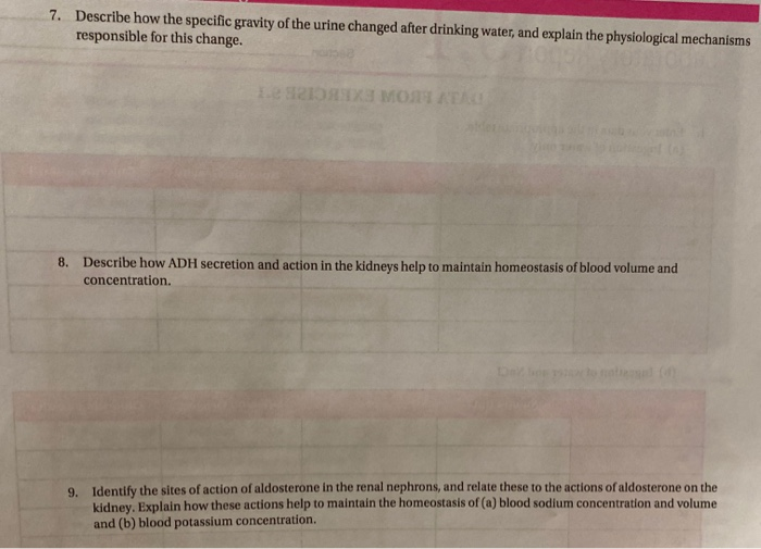 Solved 7. Describe how the specific gravity of the urine | Chegg.com