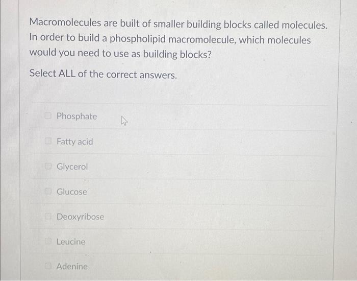 Macromolecules are built of smaller building blocks called molecules. In order to build a phospholipid macromolecule, which m