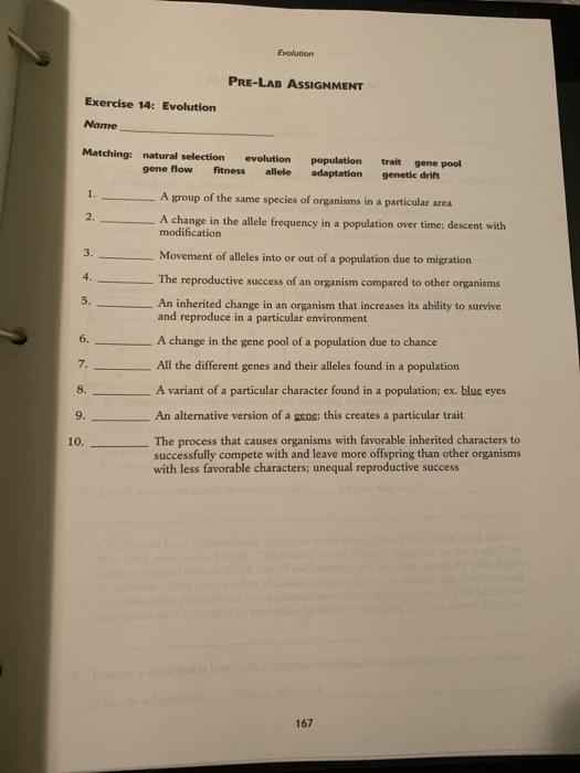 lab assignment 8 evolution