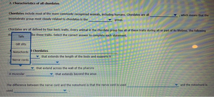 solved-2-characteristics-of-all-chordates-which-means-that-chegg