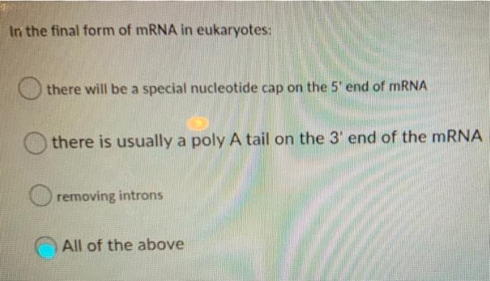 Solved In the final form of mRNA in eukaryotes: there will | Chegg.com
