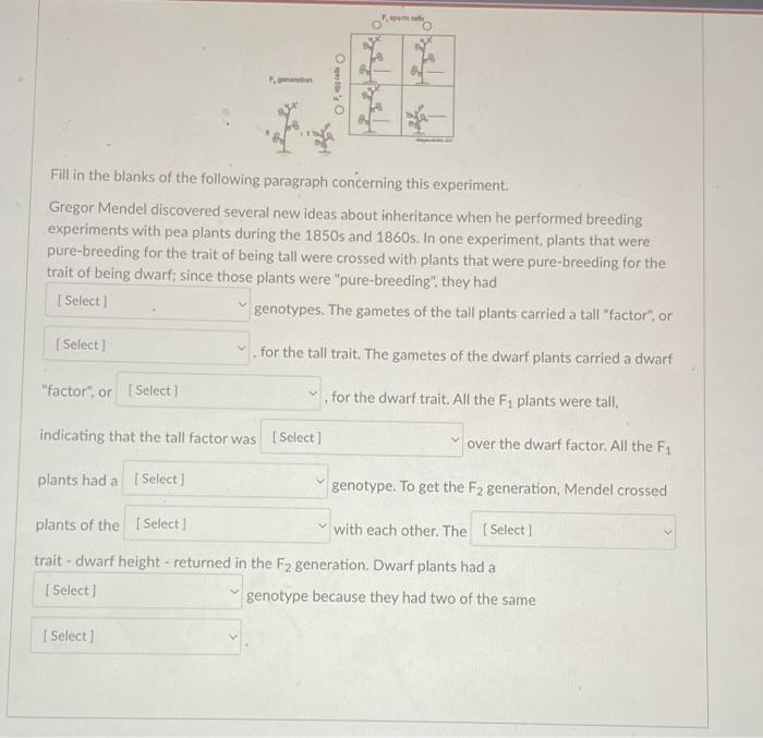 Fill in the blanks of the following paragraph concerning this experiment.
Gregor Mendel discovered several new ideas about in