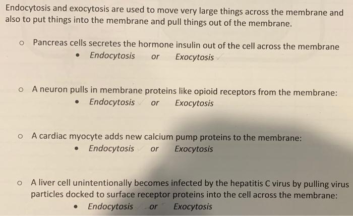 Endocytosis And Exocytosis Are Used To Move Very Chegg Com