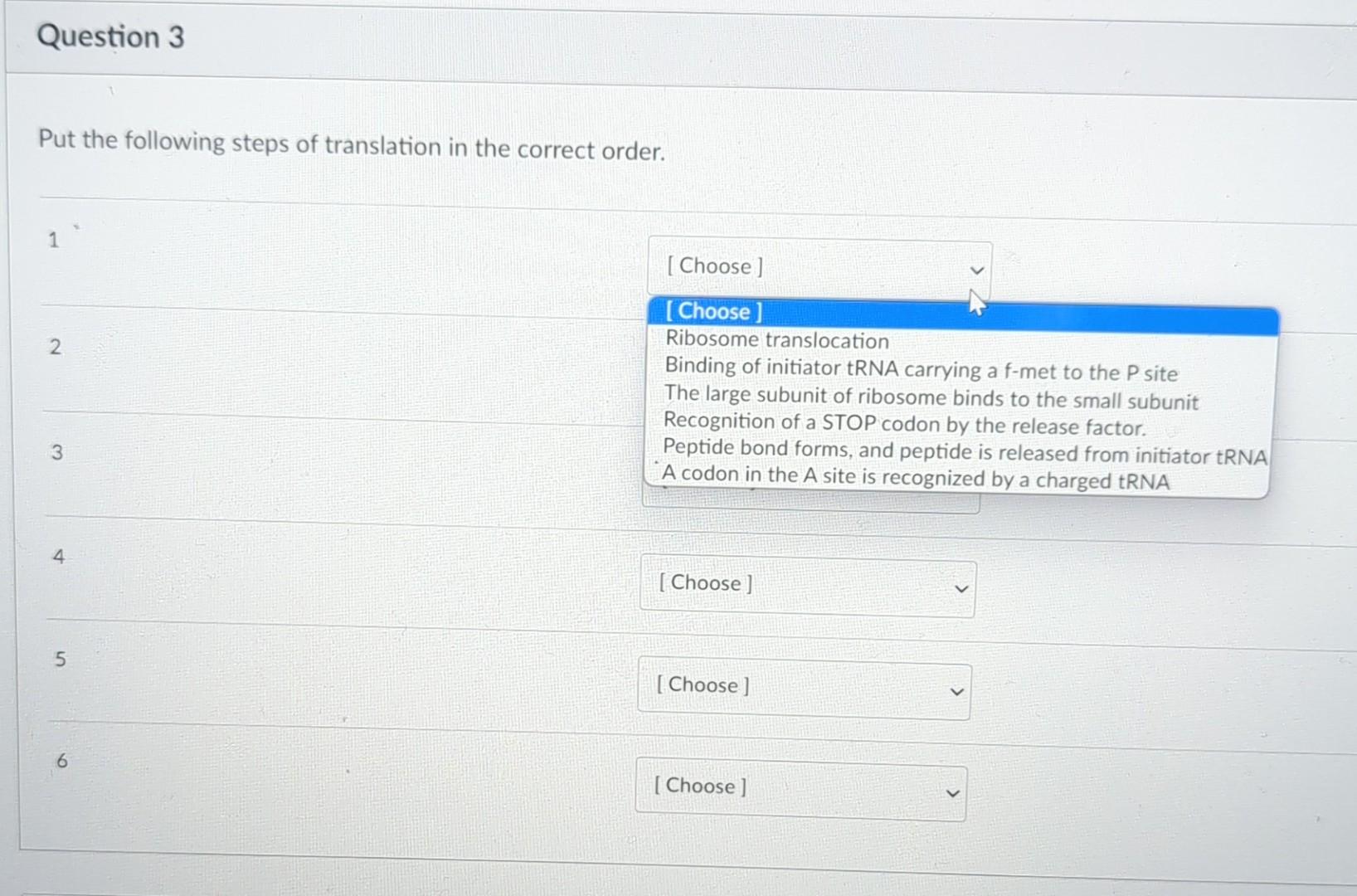 Solved Put the following steps of translation in the correct | Chegg.com