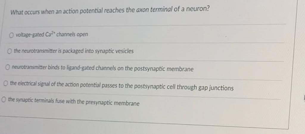 Solved What occurs when an action potential reaches the axon | Chegg.com