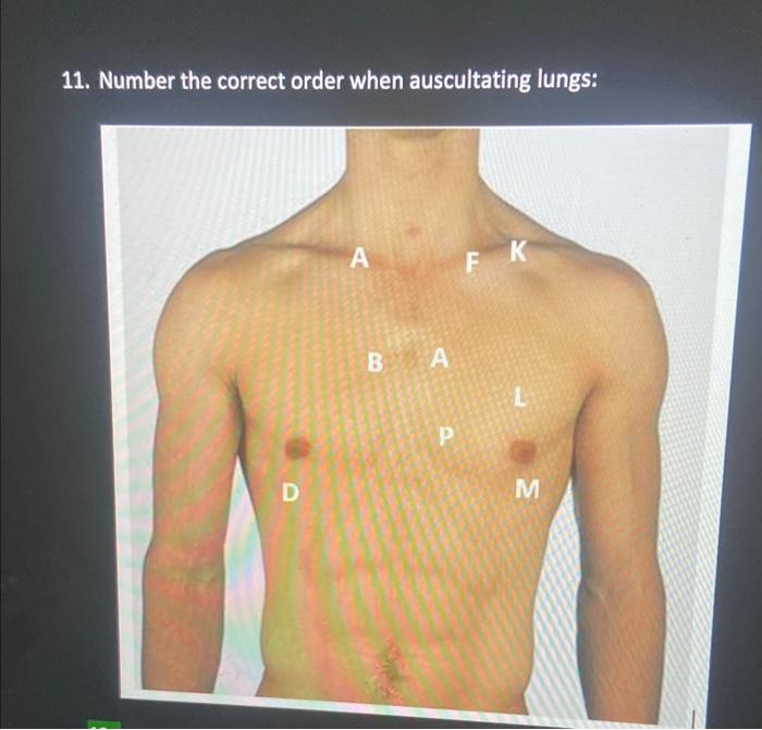 11. Number the correct order when auscultating lungs: