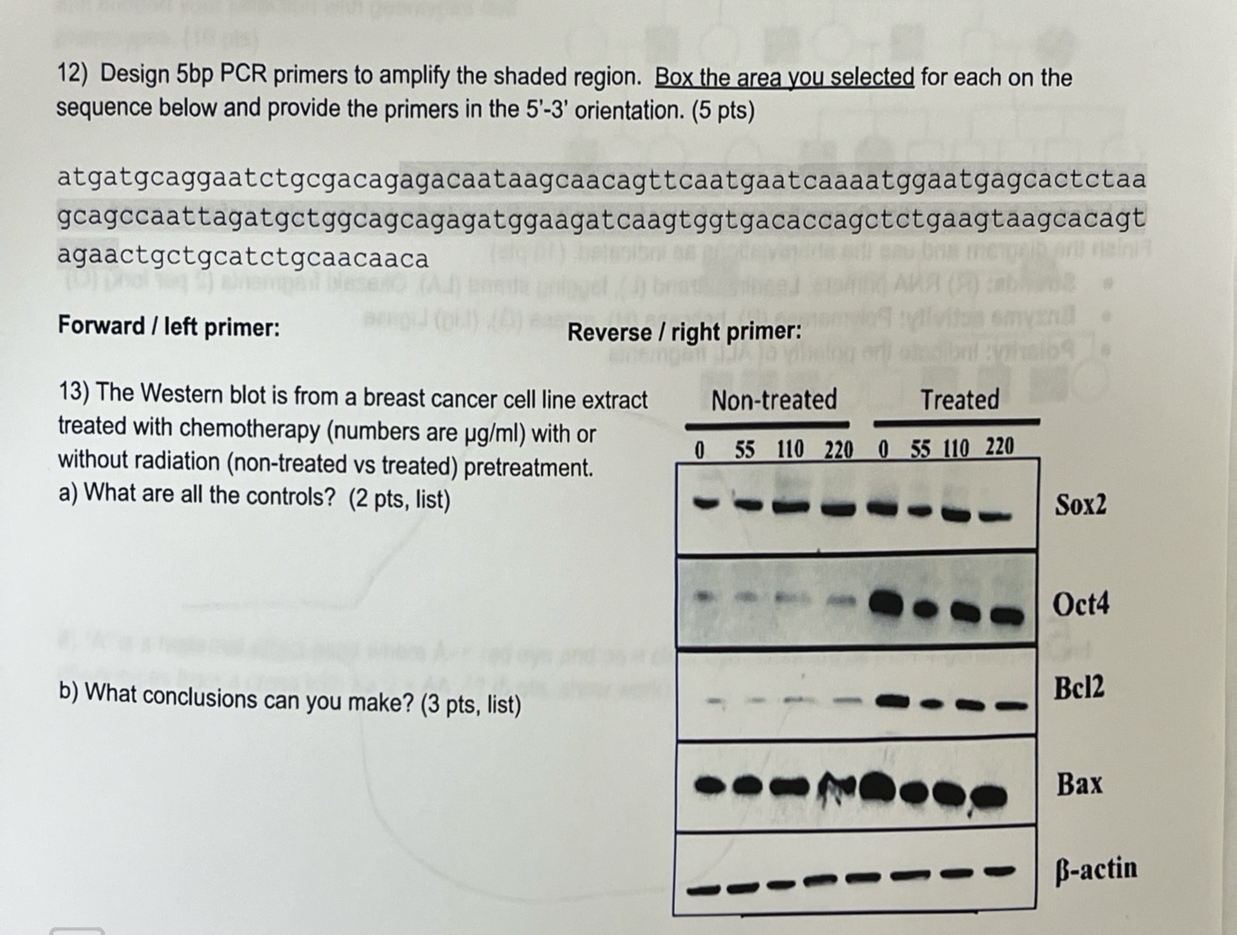 Solved Design 5bp PCR primers to amplify the shaded region. | Chegg.com