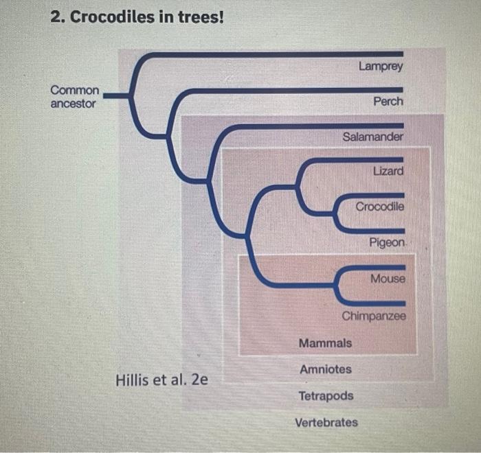 Solved 1. Crinoids, sea stars, and humans, oh | Chegg.com
