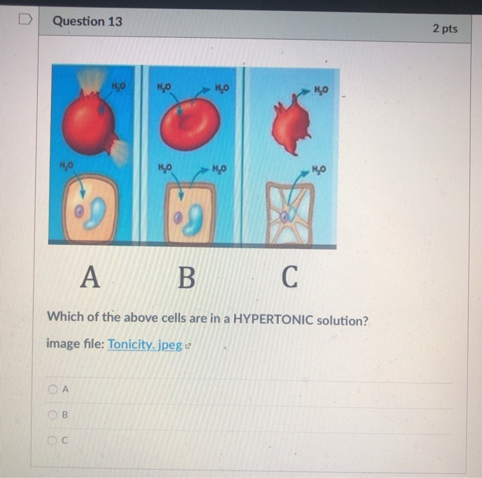 Solved image file: ph enzymes B A enzyme activity 1 2 3 4 5 | Chegg.com