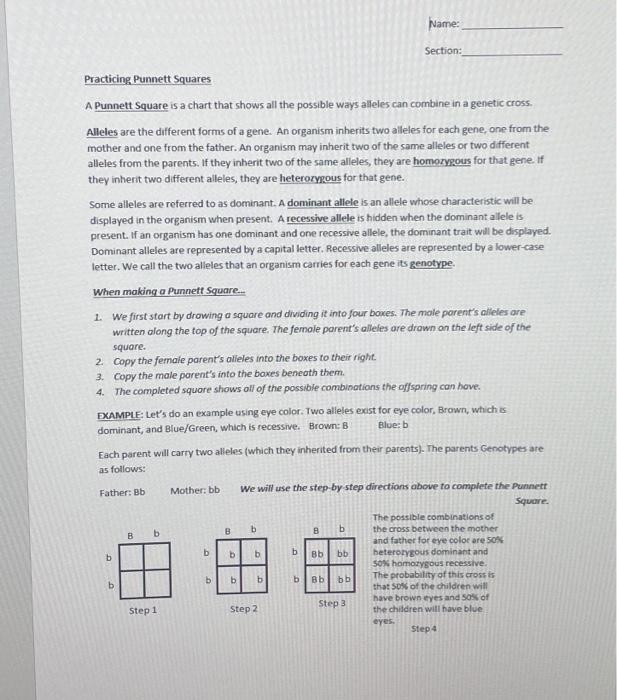 Solved Section: Practicing Punnett Squares A Punnett Square | Chegg.com