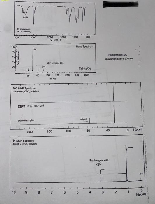 Solved Identify major peaks in IR spectrum & what they | Chegg.com