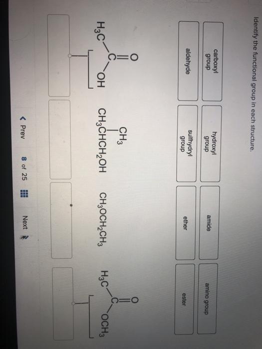 Check My Work Identify The Functional Group In Each Chegg
