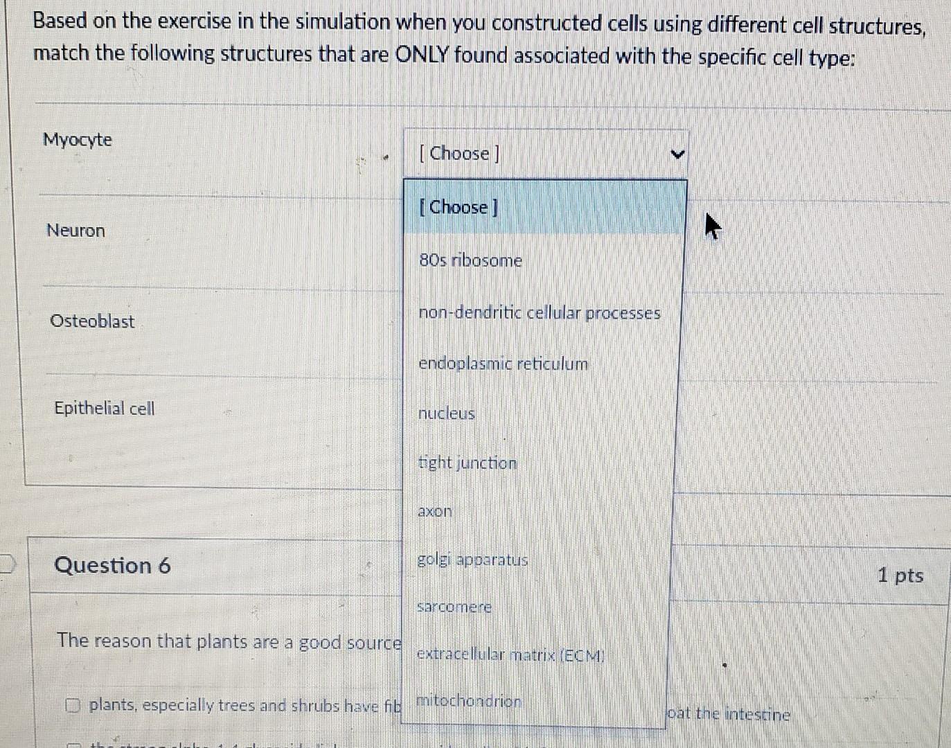 Solved Based on the exercise in the simulation when you | Chegg.com
