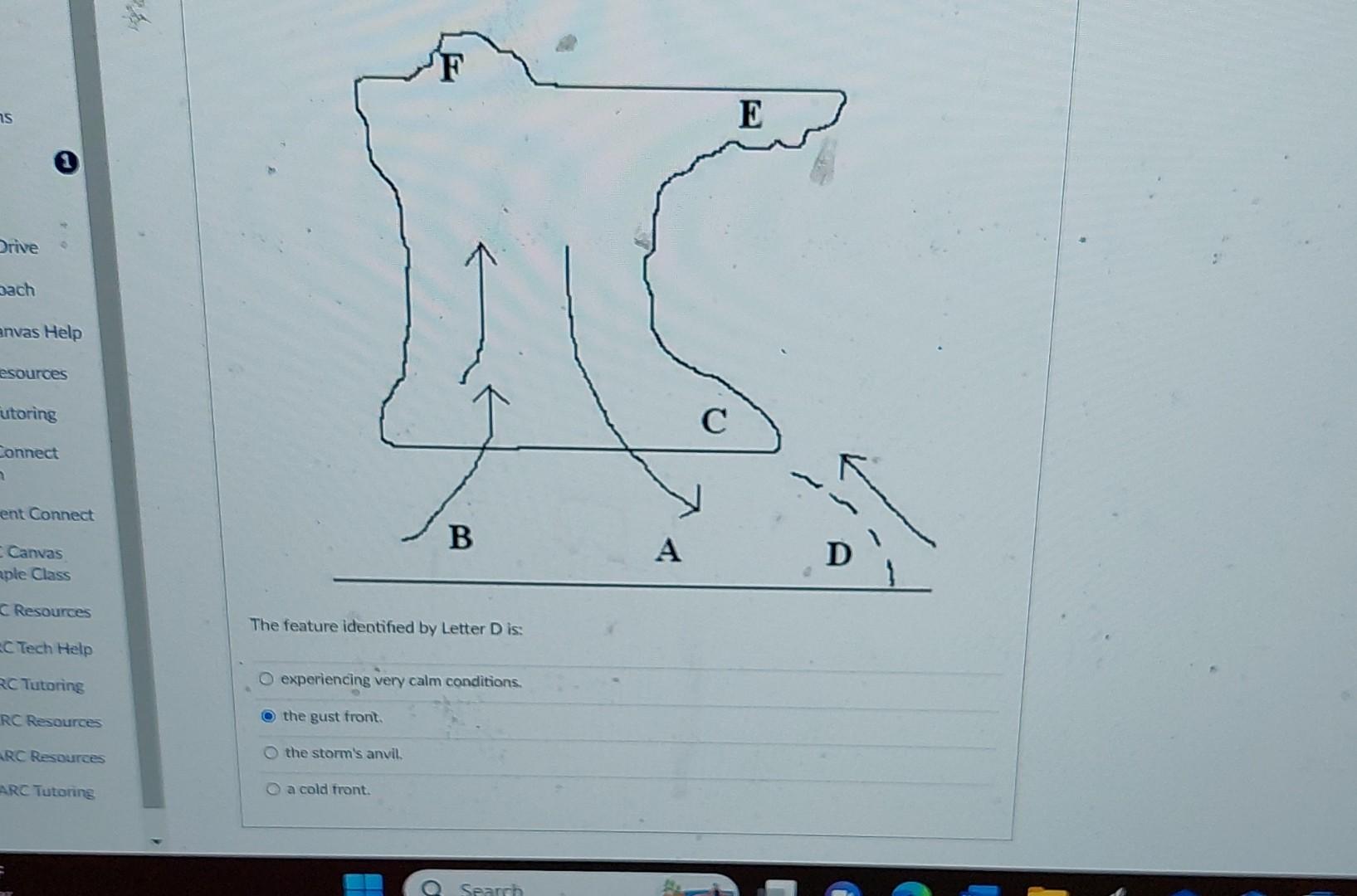 Solved The feature identified by Letter D is: experiencing | Chegg.com