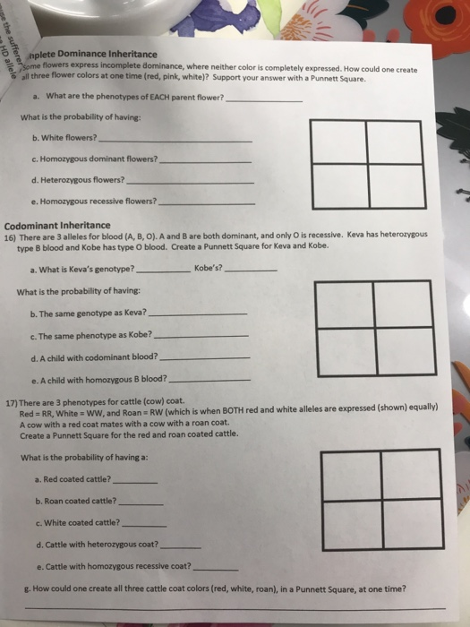 Solved Nased Date: Period: Genetics Unit Review Worksheet | Chegg.com