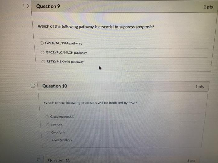 Question 7 1 pts RPTK can activate PI3K/Akt, | Chegg.com
