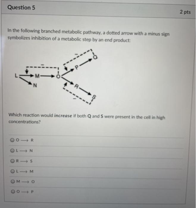 Solved Question 22 2 pts A particular protein from a | Chegg.com