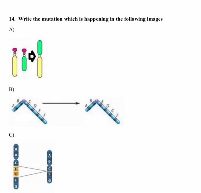Solved 14. Write the mutation which is happening in the | Chegg.com