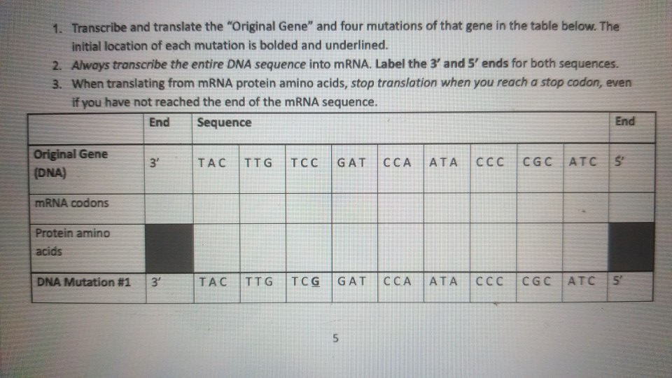 Solved Activity C: Genetic Mutations: A mutation is a change | Chegg.com