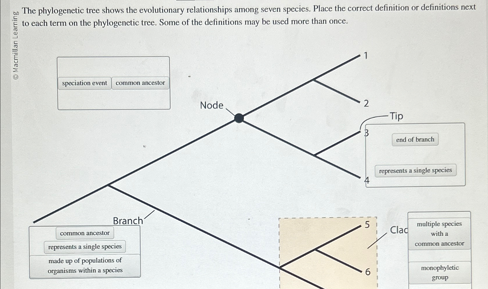 Solved S0 ﻿The Phylogenetic Tree Shows The Evolutionary | Chegg.com