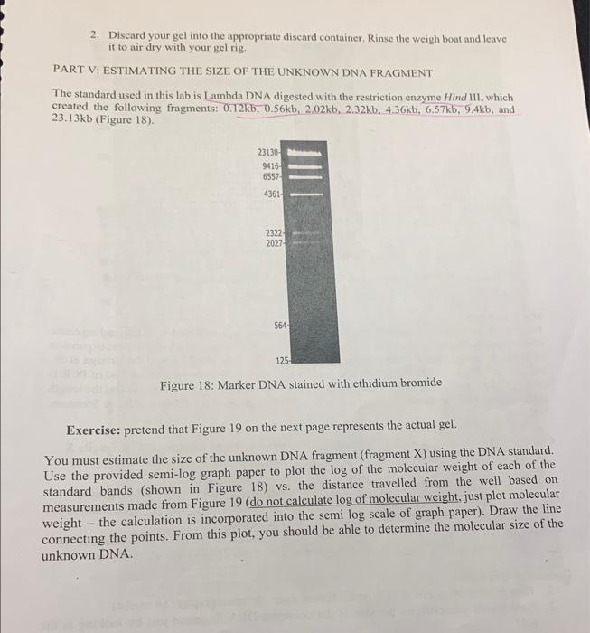 2. Discard your gel into the appropriate discard | Chegg.com