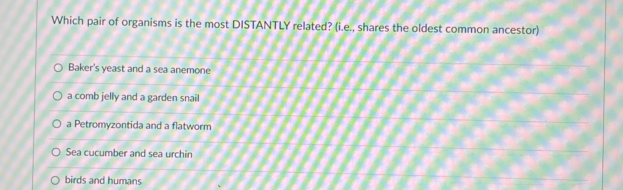 Solved Which pair of organisms is the most DISTANTLY Chegg com