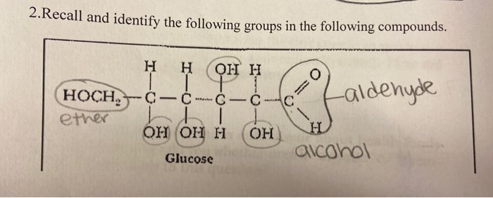Solved 2. Recall And Identify The Following Groups In The | Chegg.com