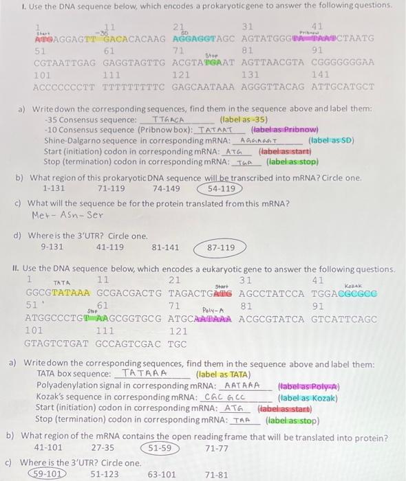 Solved 1. Use the DNA sequence below, which encodes a | Chegg.com
