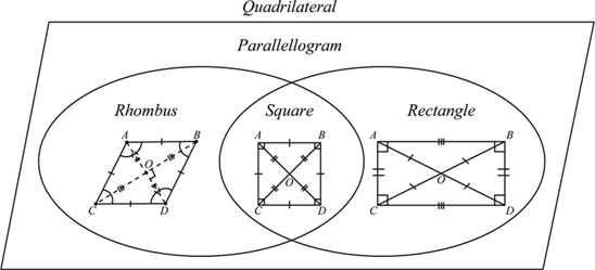 Definition Of Rectangles Rhombuses Squares Chegg Com