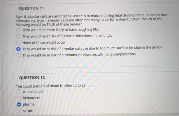 Solved QUESTION 11 Type Il alveolar cells are among the last | Chegg.com